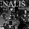 Banda Fenalis