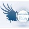 Banda Life