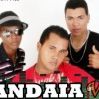 banda gandaia vip