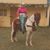 Linelsonprado72