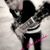Thiago Andrade Abelha