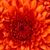 Croche Betthh