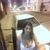 Tamires Diogo