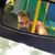 Bores Joaquim