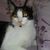 Joilson T. Santos