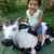 Anderson Menezes