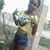 Betto Lopes Oficial