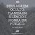Riomar Ferreira junior