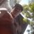 Breno Miguel Coelho