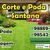 Weliton Caetano