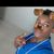 Edilson Arcandio