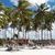 mikaele e wilhiane