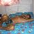 Robson Ilsen