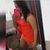 Celda Soares