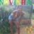 FORRÓ DE FAVELA ᴼᴿᴵᴳᴵᴻᴬᴸ