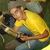 Lucas Freitas Calvi