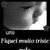 Francisco Oliveira Oliveira francisco.oliveira7334@gmail.com