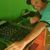 Lucivando Menezes
