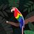 Bruno Henrique