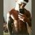 Evertonnsilva2