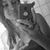 nathyelly tavares