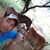 Gustavo Freire machado