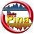 Web Divulga Brasil