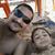 Henrique Alexandre