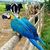 Canny `B all