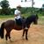 Denis Vaz Campina