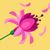 Andressagambin12