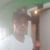 Nilto Stz