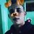 José Luiz