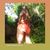 Silvia.Empreendimento18