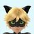 Cat Noir