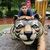 TIGRE 2772