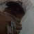 INDYNHO