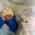Willian Medeiros
