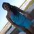 flavia