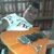 vinicius lucas