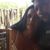 Juliabritoreis Jgbdr