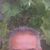 FRANCISCO VALERIO