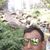 Edson Lima