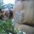 ARLAINE VIANA