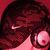 DjLp DjLp