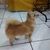 Milton Jose de Carvalho