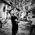 Caiqueborges046