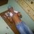 Thiago Rodrigues