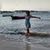 Nilton Abreu Oficial