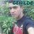 Nicolas Fernandes Faturi